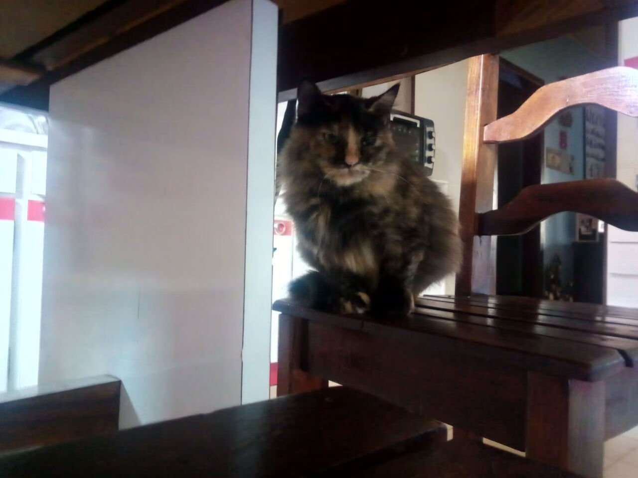 国足热身赛攻防表现研究，国足热身赛阵容