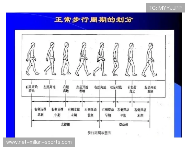 田径训练营引入步态分析与力量评估提升技术细化,田径项目的步频是指 田径训练营引入步态分析与力量评估提升技术细化,田径项目的步频是指